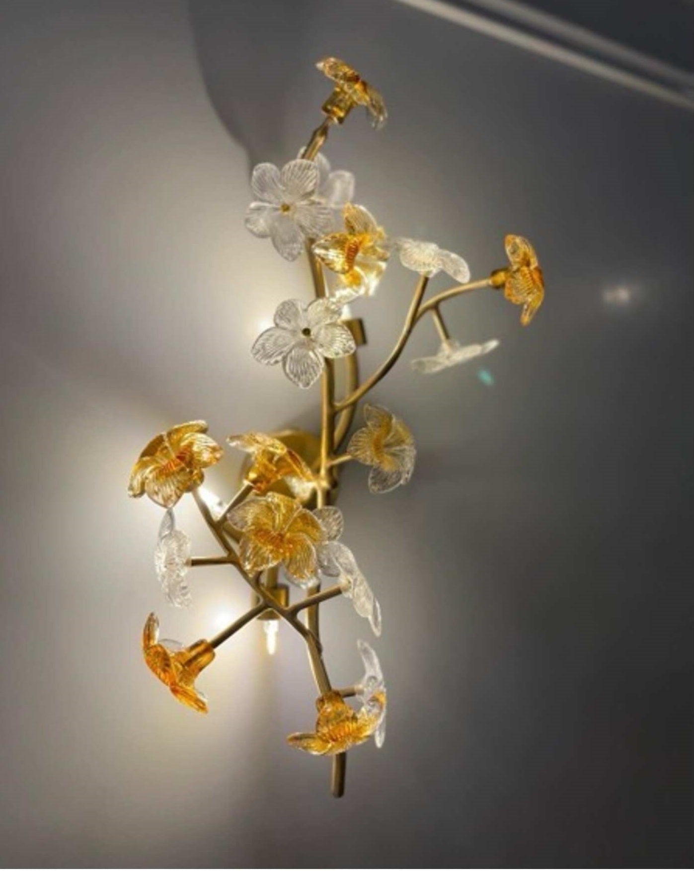 Elysian Orchid